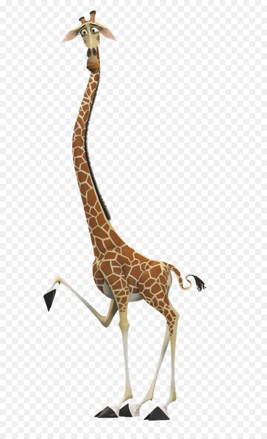 Melman，Gloria PNG