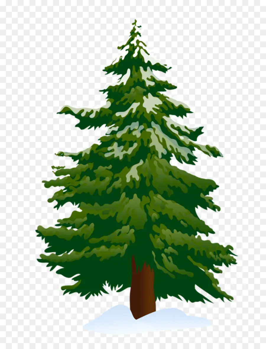 Pino，árbol PNG