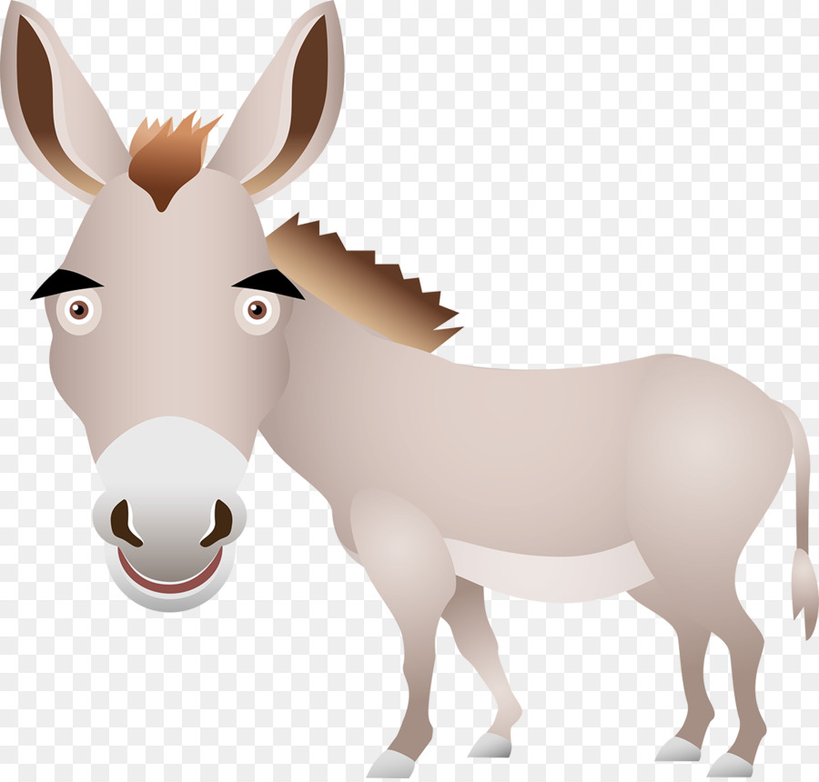 Caballo，Equino PNG