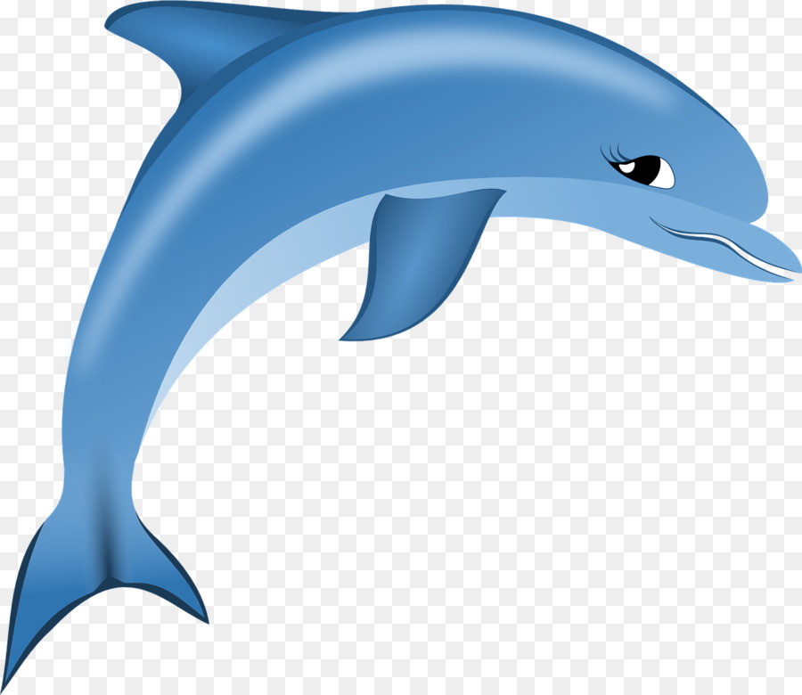 Delfines De Dibujos Animados，Marina PNG