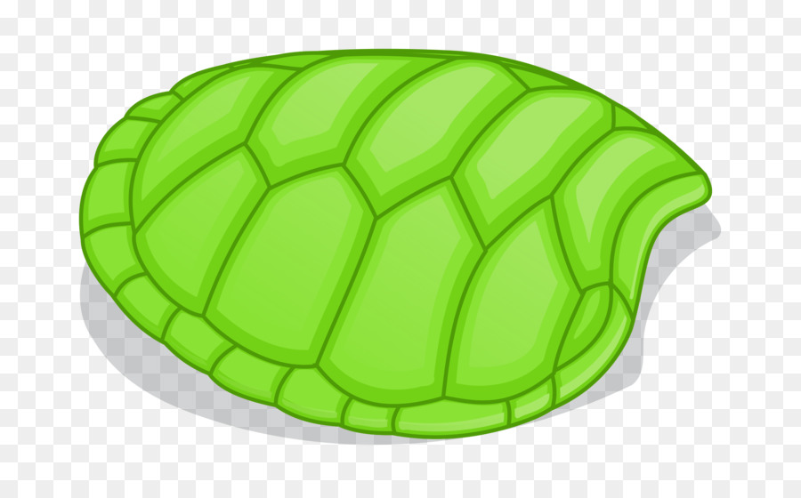 Tortuga，Tortuga De Mar PNG