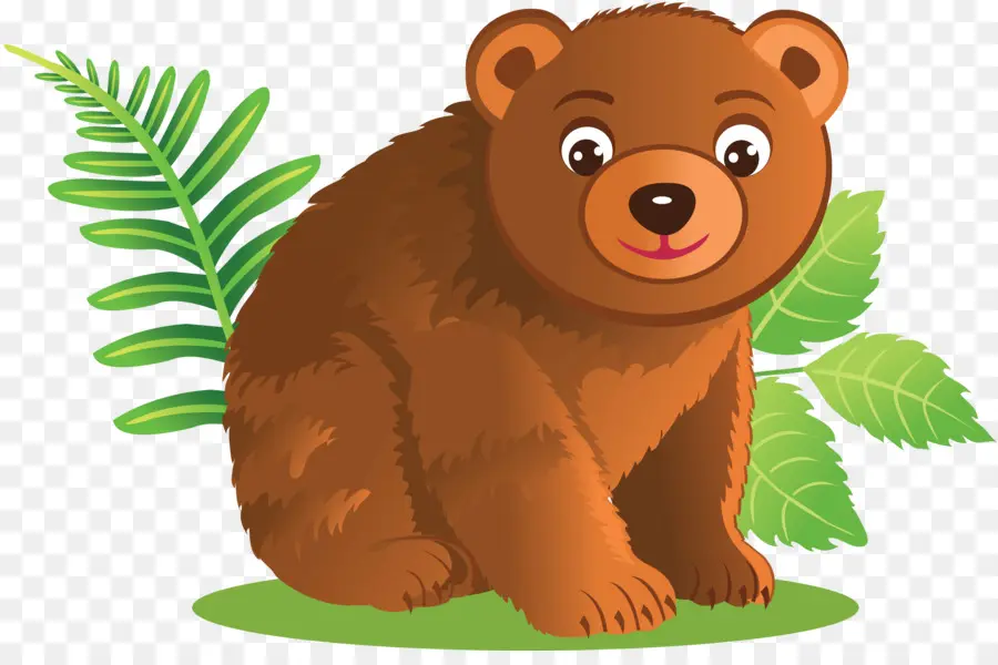 Oso Polar，Oso Pardo PNG