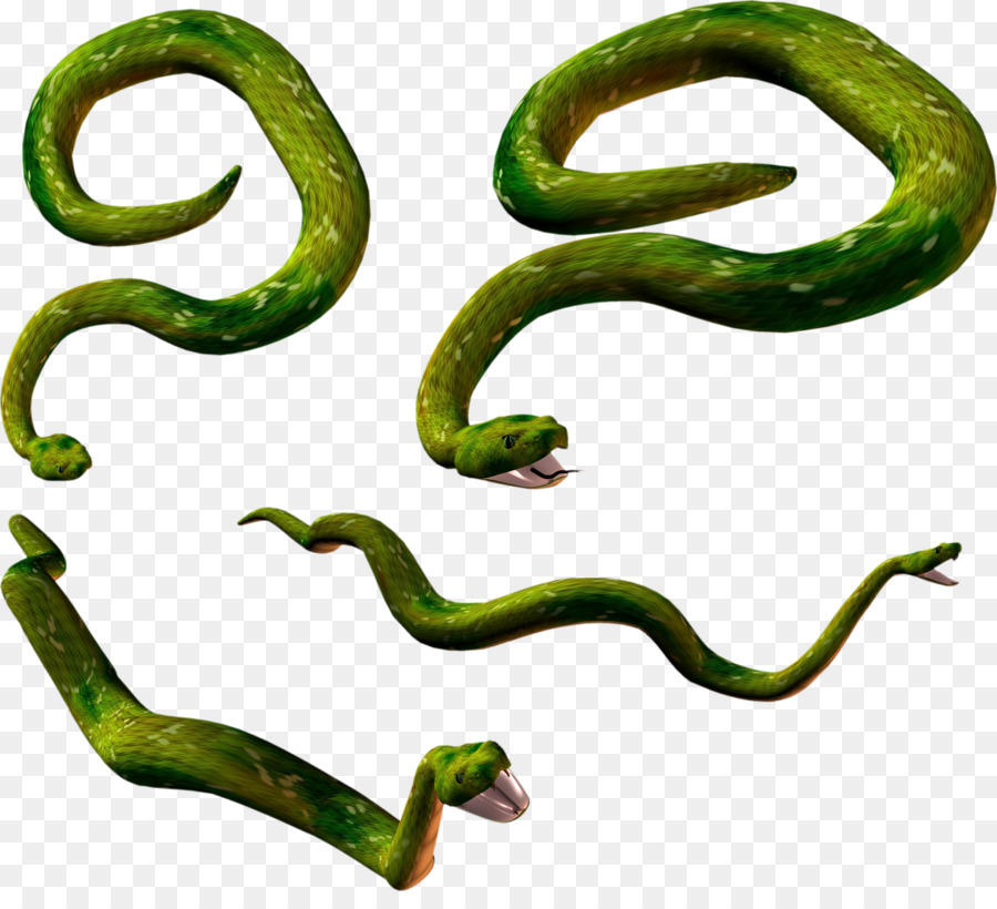 La Serpiente，Lagarto PNG