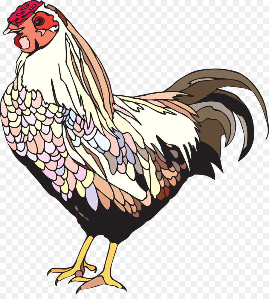 Pollo，Alitas De Pollo PNG