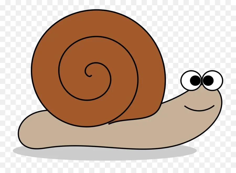 Caracol De Dibujos Animados，Caracol PNG