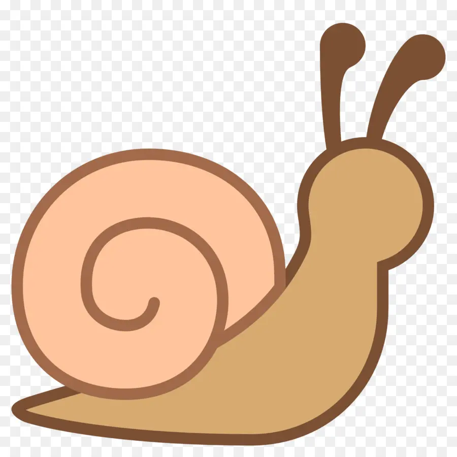 Caracol，Caparazón PNG