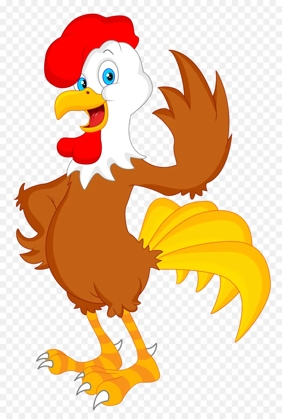 Pollo，Gallo PNG