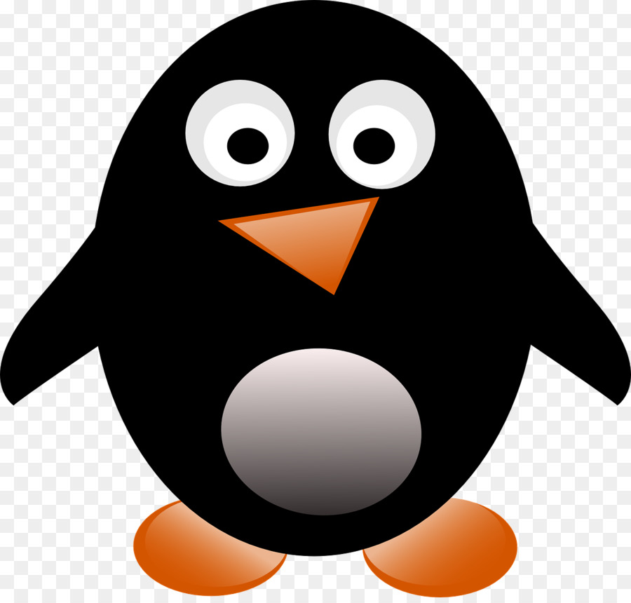 Penguin，Whiteflippered Penguin PNG