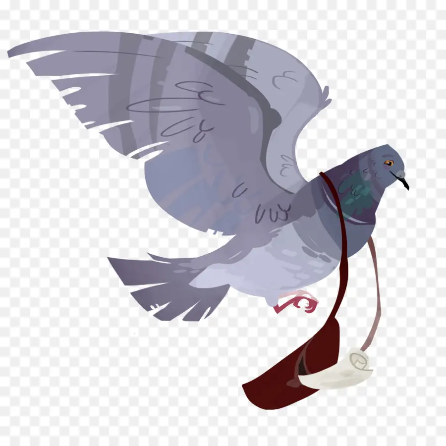 Inglés Paloma Mensajera，Homing Pigeon PNG