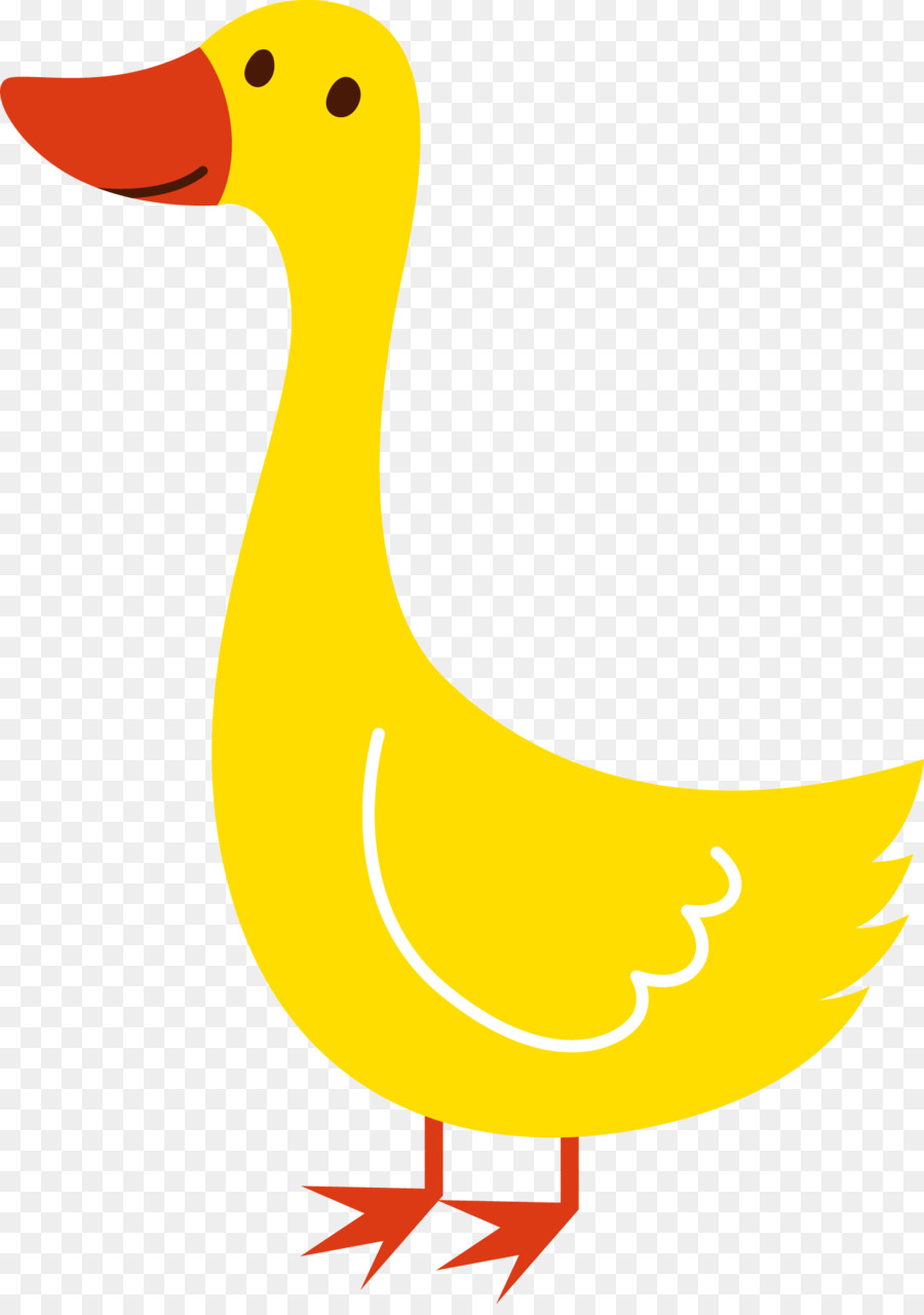 Pato，Ganso PNG