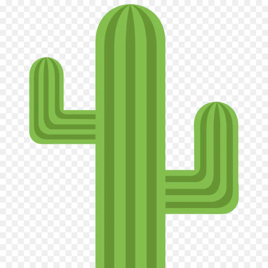 Cactus，Desierto PNG