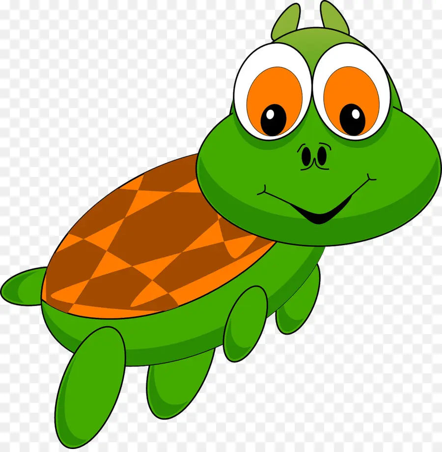 Tortuga Feliz，Reptil PNG