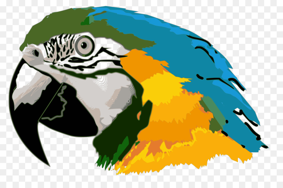 Parrot，Pájaro PNG