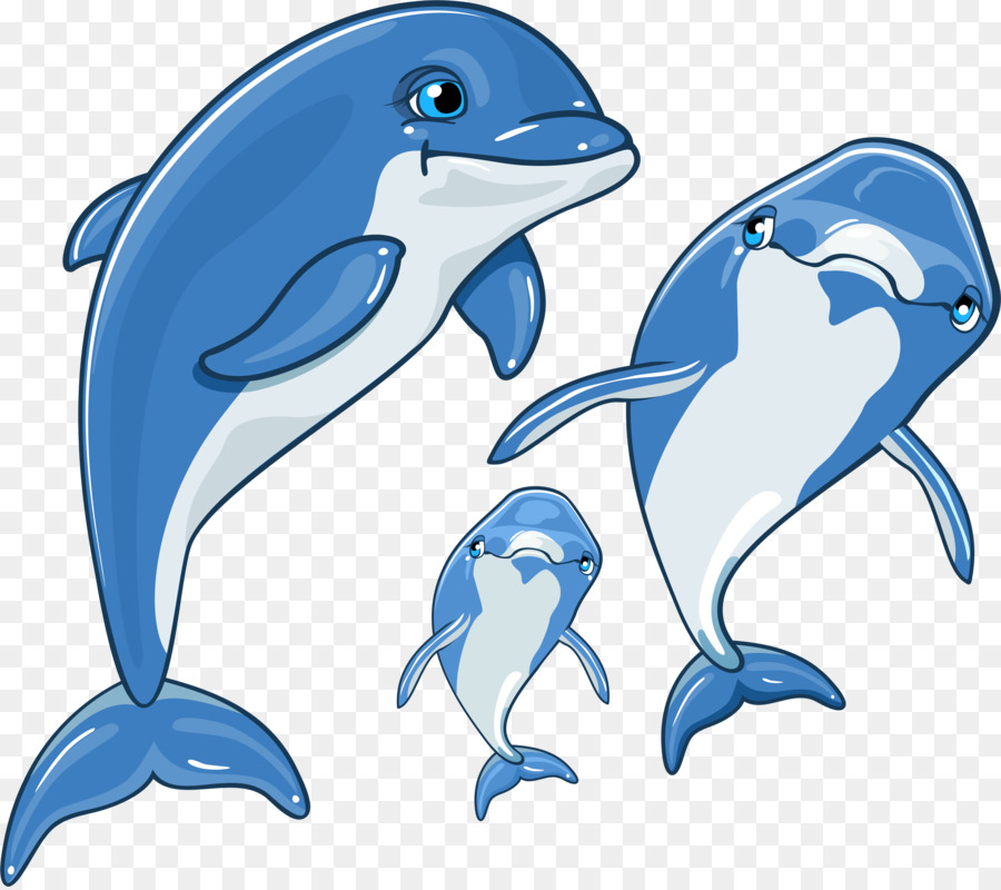 Delfines De Dibujos Animados，Marina PNG