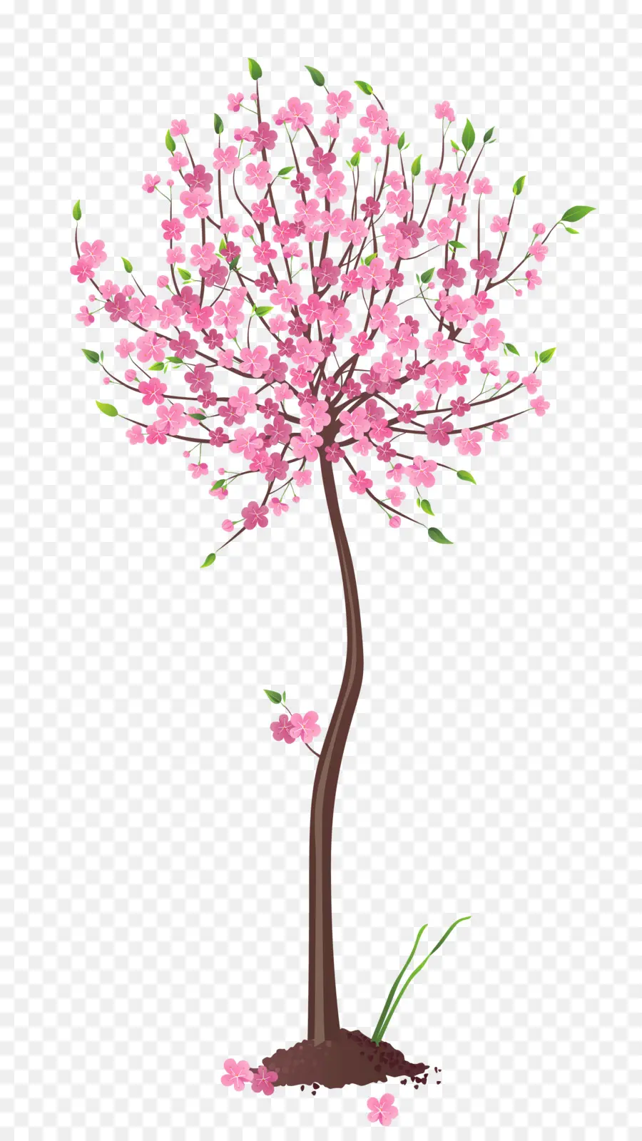 Árbol De Cerezo En Flor，árbol En Flor PNG