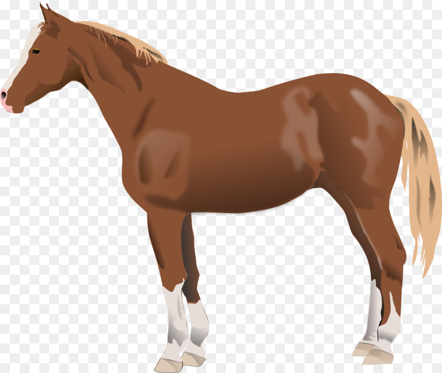 Caballo Corriendo，Animal PNG