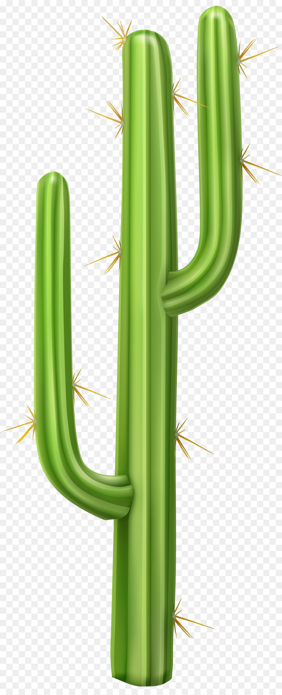 Cactus，Desierto PNG