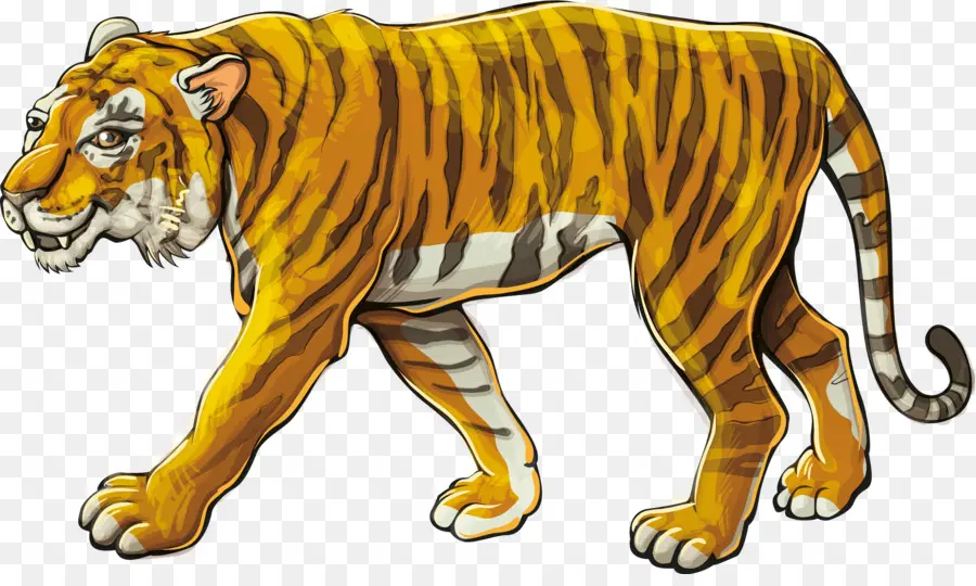 Tigre，León PNG