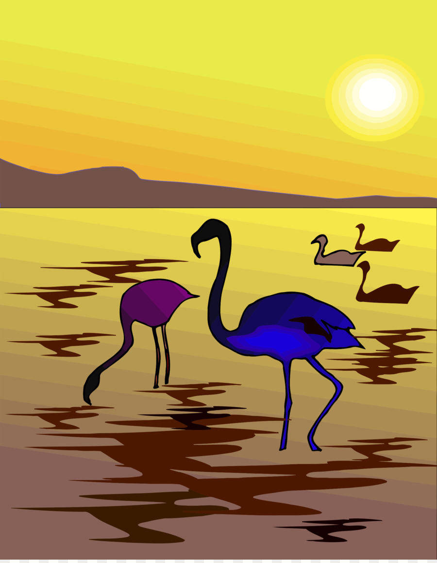 Flamencos，Atardecer PNG