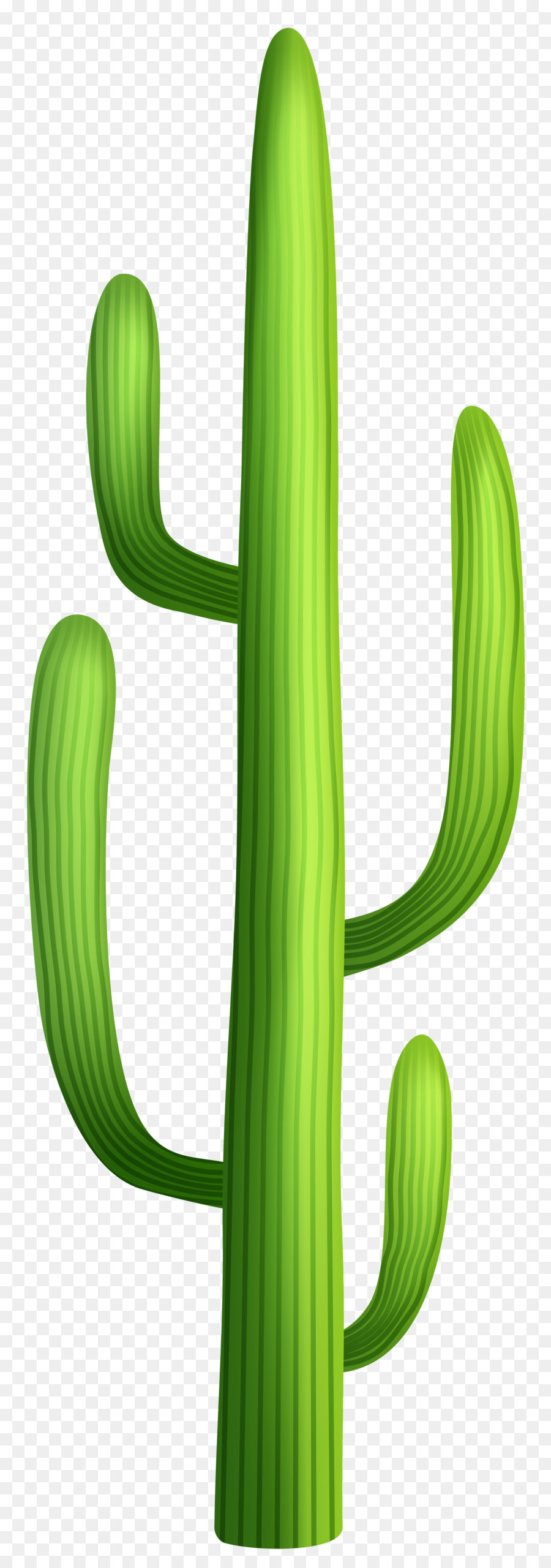 Cactus，Desierto PNG