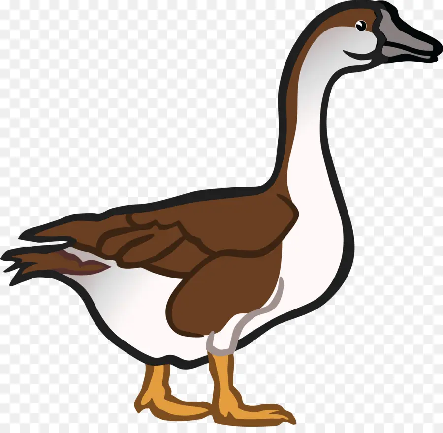 Ganso，Pato PNG