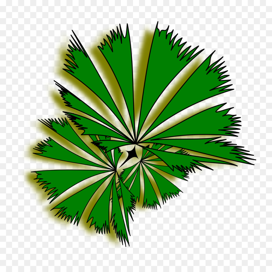 Arecaceae，árbol PNG