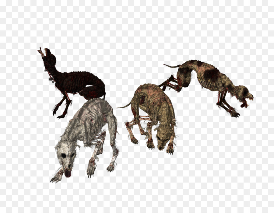 Dark Souls，Perro PNG