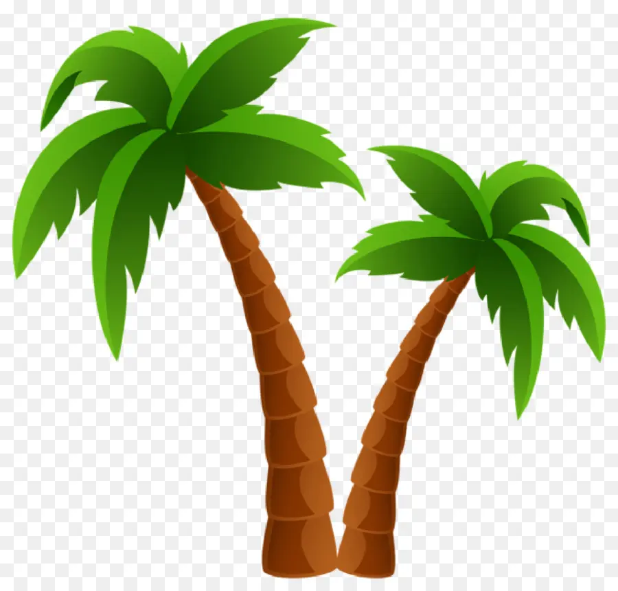 Palmera，Playa PNG