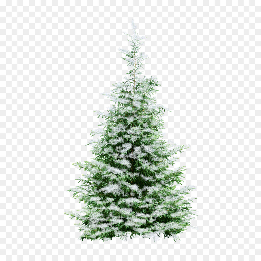 árbol De Año Nuevo，árbol PNG