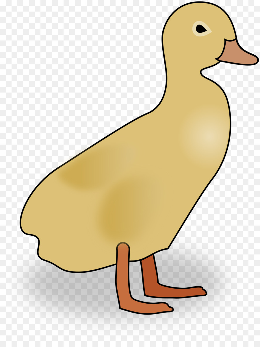 Pato，Bebé Patito PNG