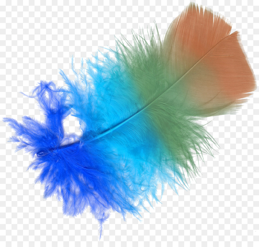 Pluma，Color PNG