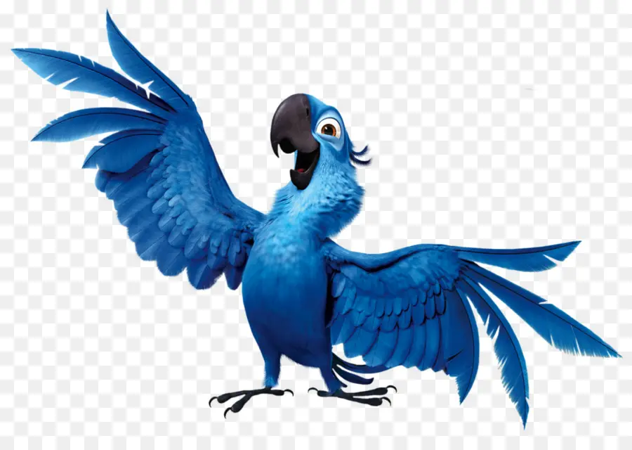 Loro Azul，Pájaro PNG