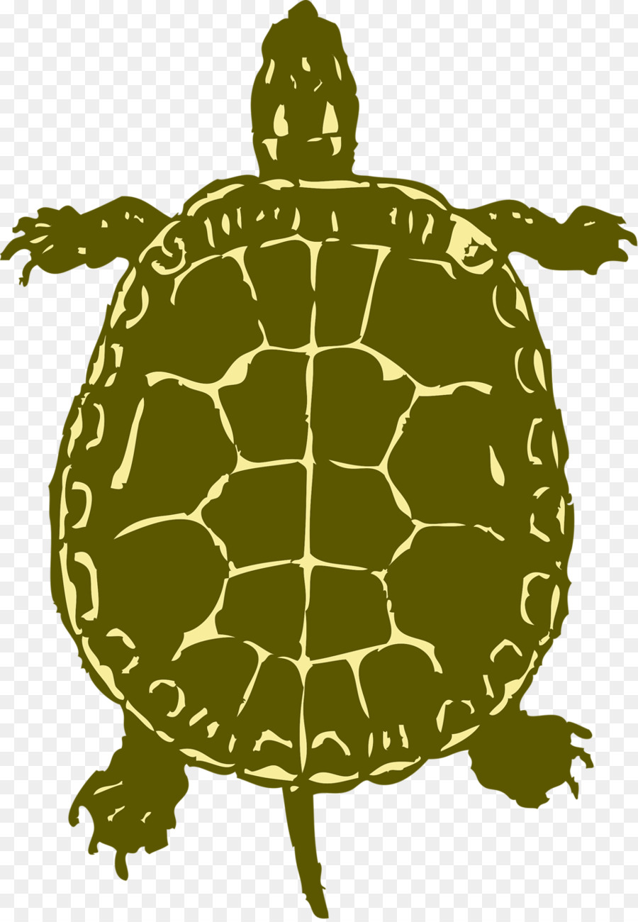 Tortuga，Silueta PNG