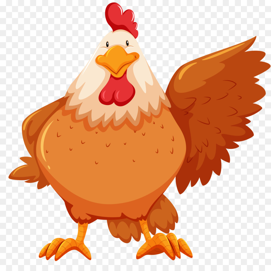 Pollo，Flashcard PNG