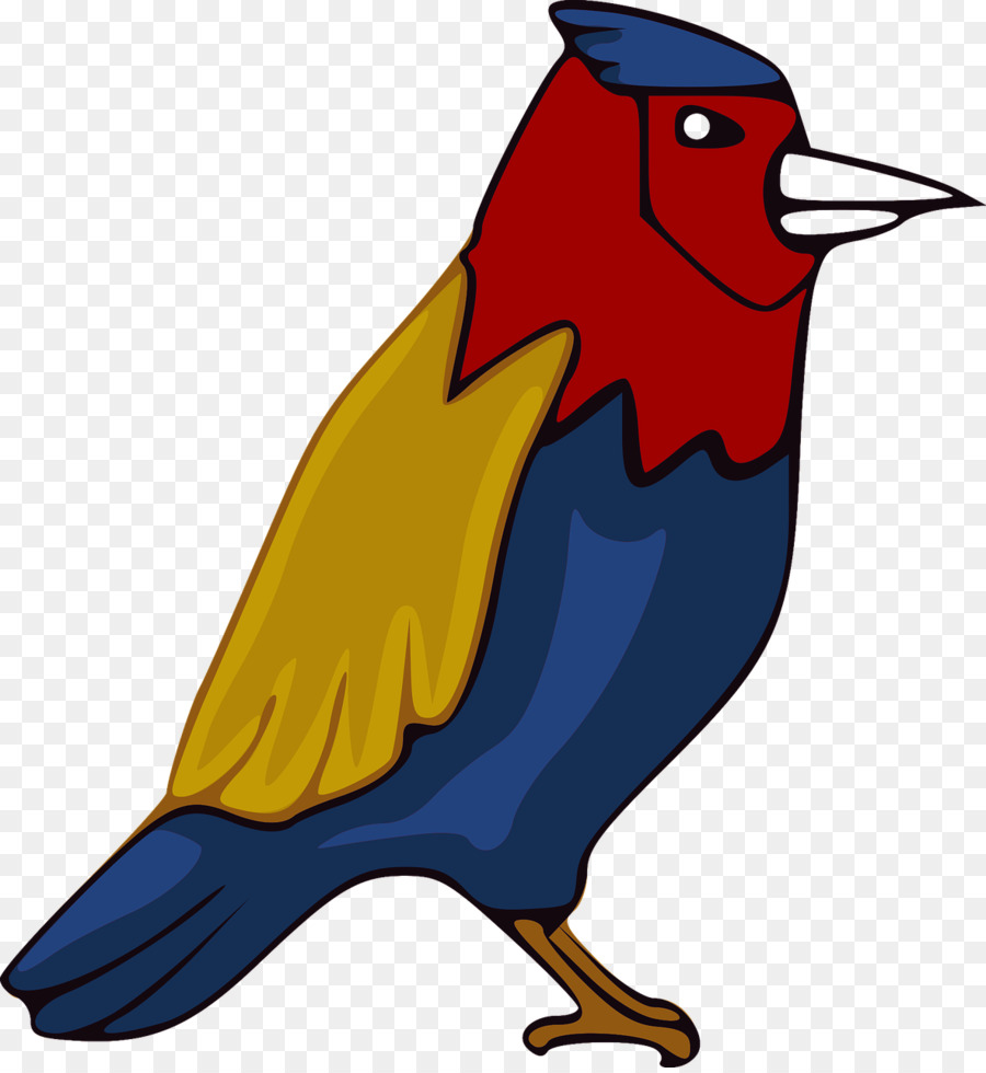 Pájaro Azul，Plumas PNG