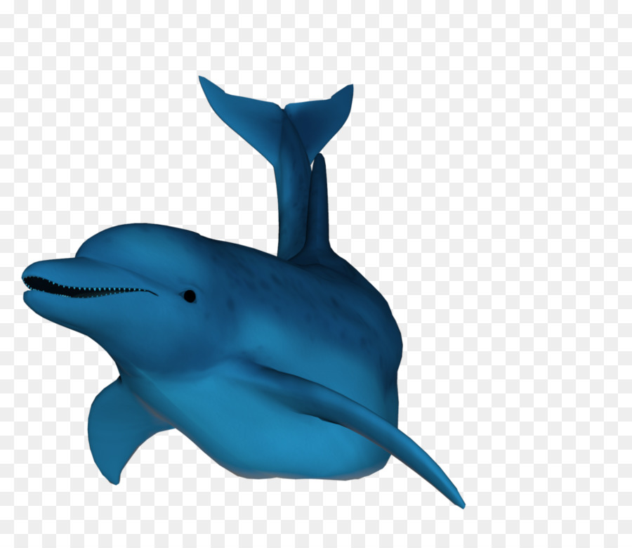 Ballena Azul，Océano PNG