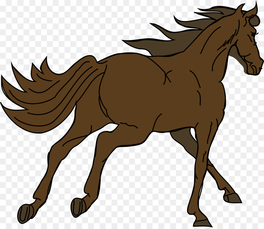 Cabeza De Caballo，Equino PNG