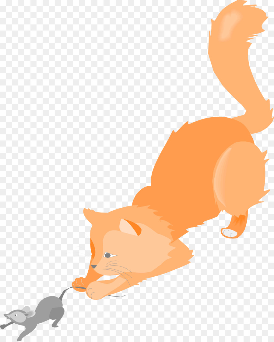 Gato，Gatito PNG