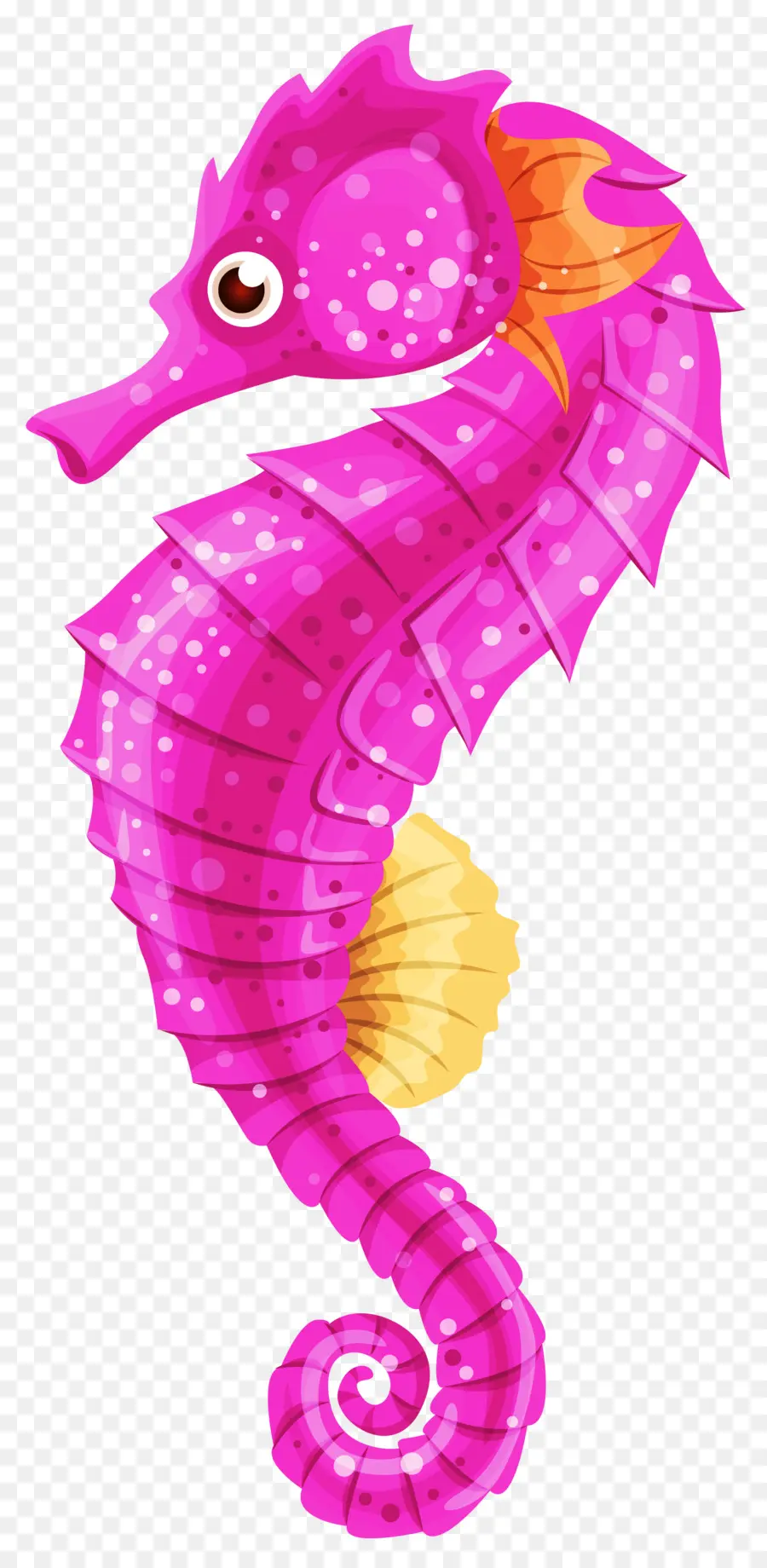 Caballito De Mar，Descargar PNG