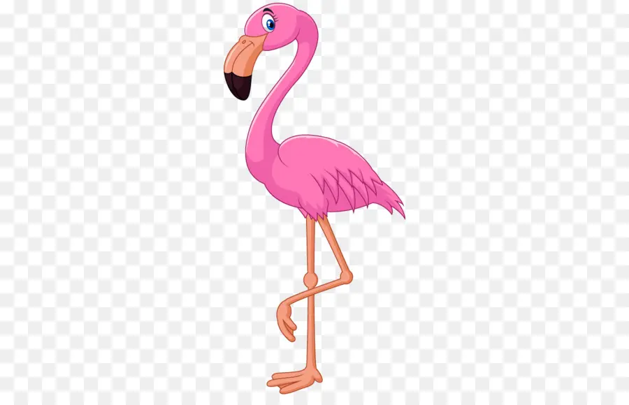 Flamingo，De Dibujos Animados PNG