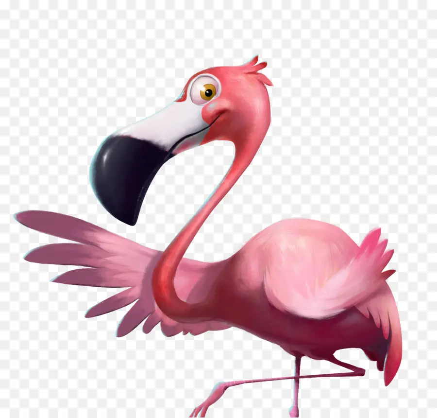Flamingo，Pájaro PNG