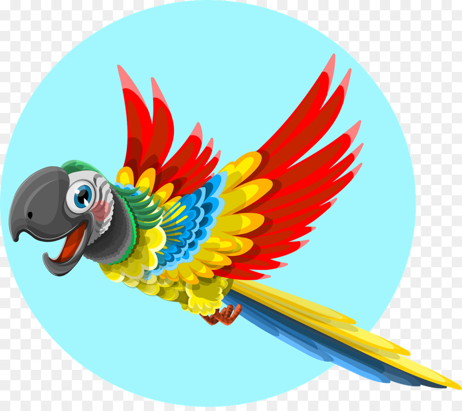 Parrot，Pájaro PNG