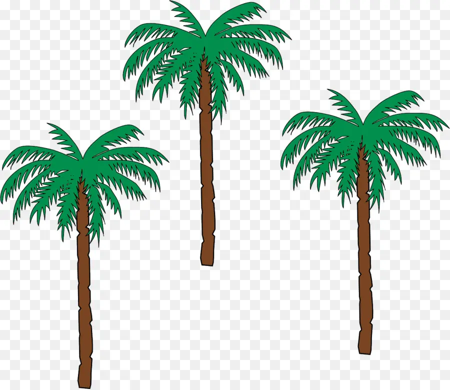 La Palma Del Condado，Arecaceae PNG