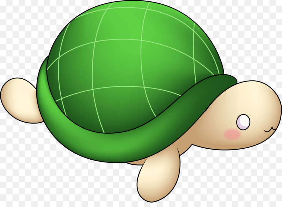 Tortuga，Verde PNG