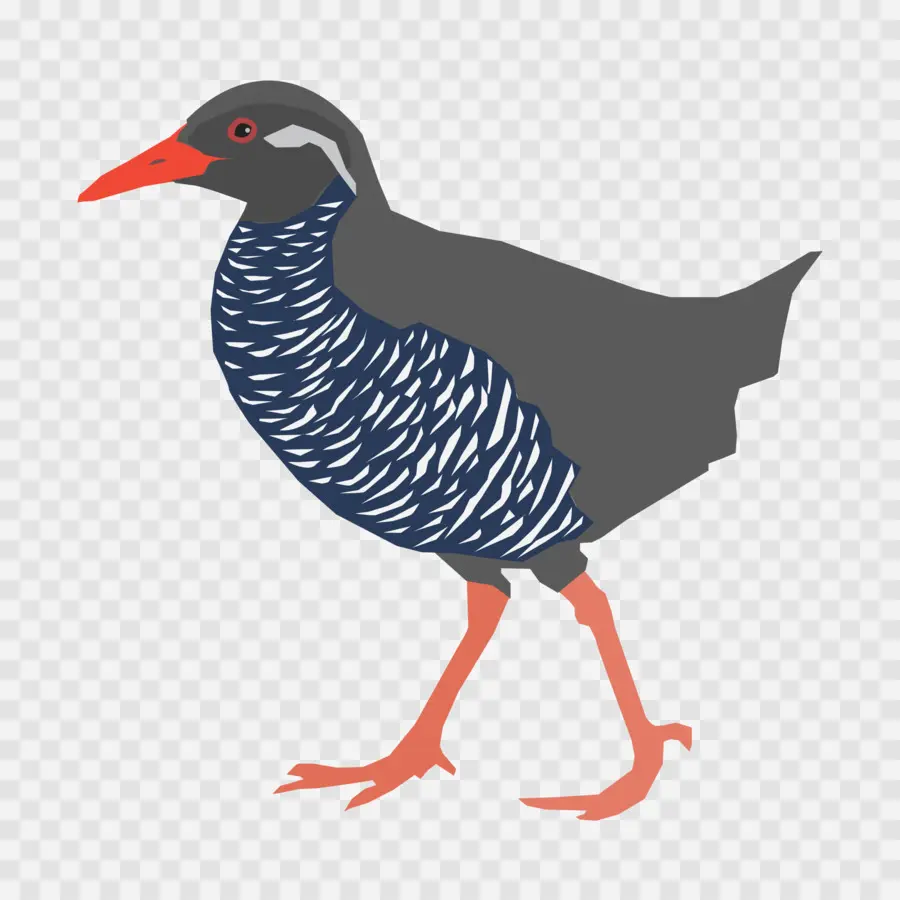 Pájaro Marrón，Plumas PNG