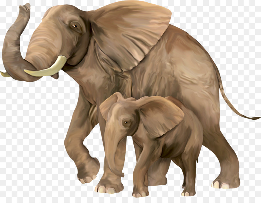 Elefante Asiático，Elefante PNG