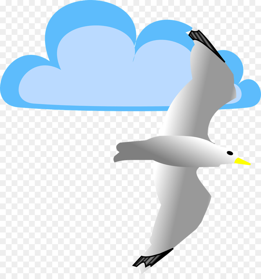 Gaviota，Nube PNG