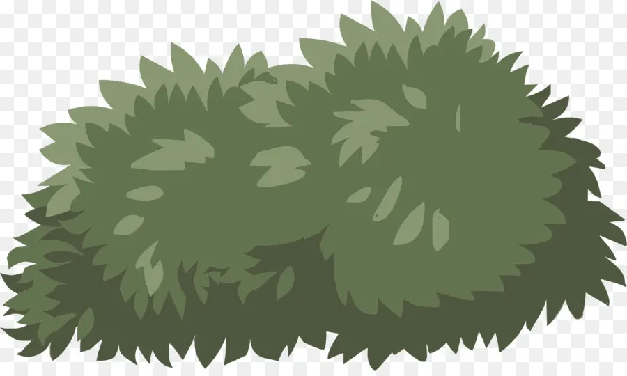 Arbusto，Planta PNG