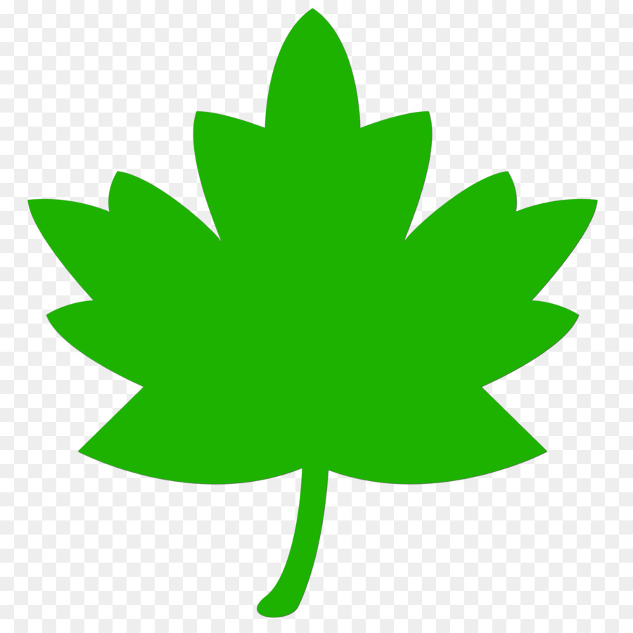 Hoja，Planta PNG