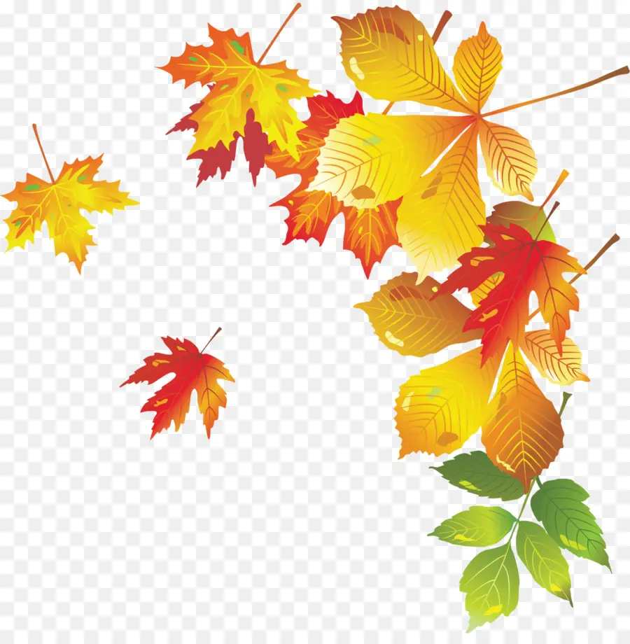 Hojas De Otoño，Caer PNG